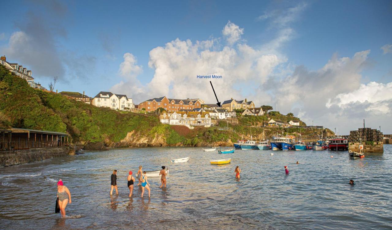 Harvest Moon New Quay Exterior foto