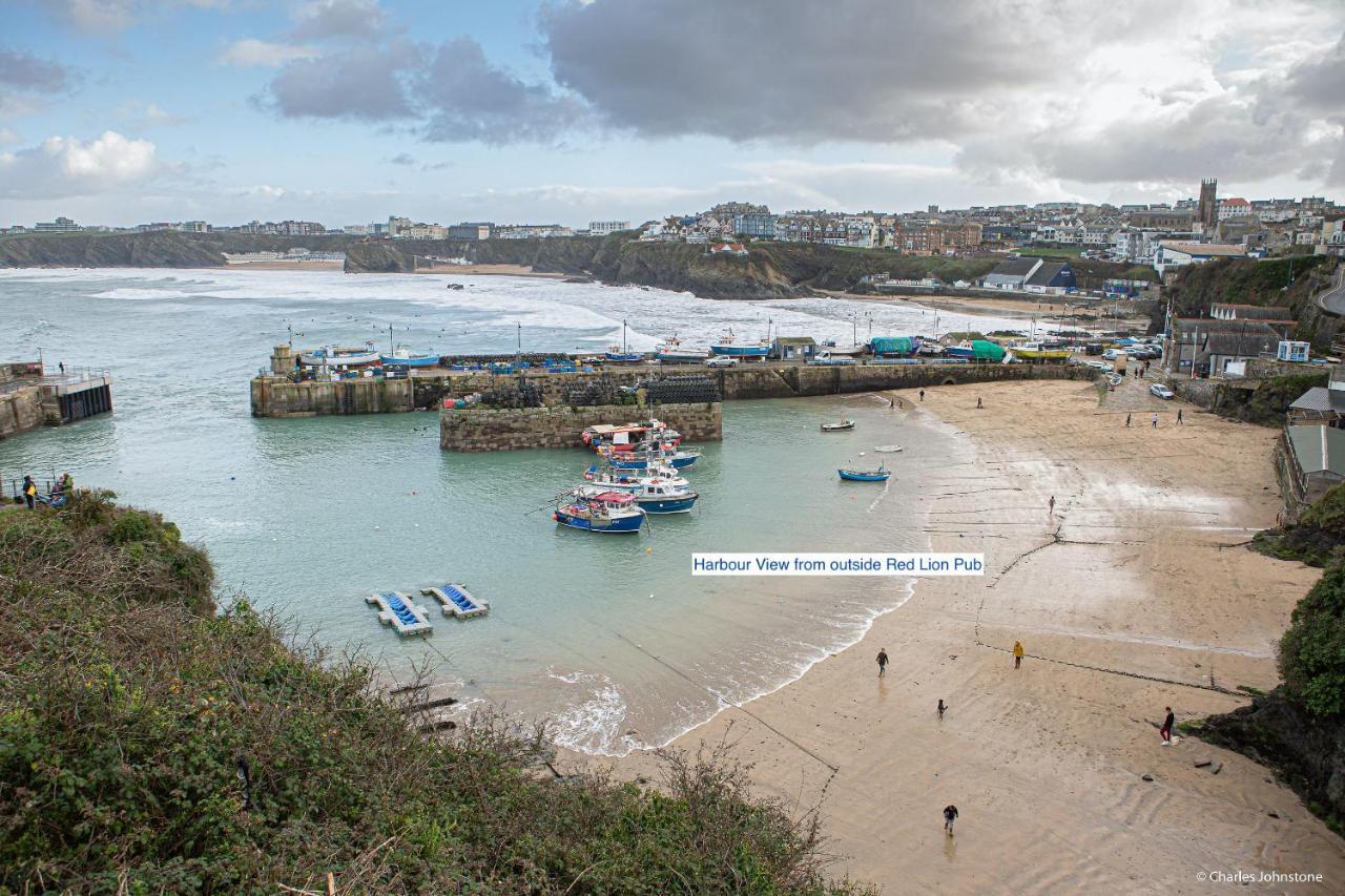 Harvest Moon New Quay Exterior foto